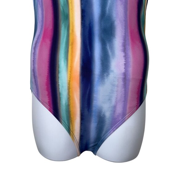 NWT Speedo Poircelain Hydro Bra OIne Piece Womens Swimsuit 12 Striped Colorful - Picture 3 of 10